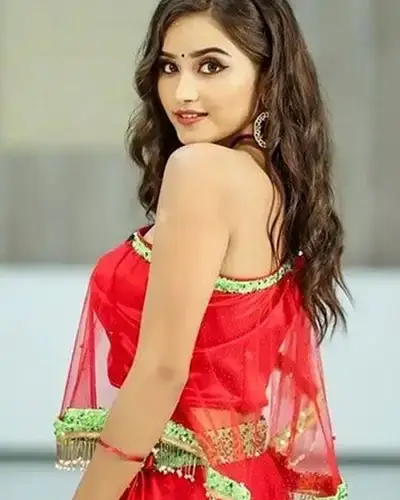 Call Girls Service Hodal
